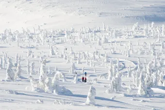 Trysil