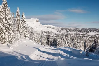 Skeikampen