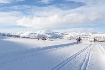 Längdåkning Beitostölen