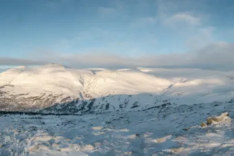Oppdal