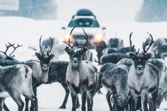 Idre Fjäll