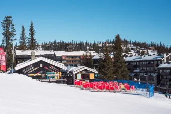 Koia Kvitfjell