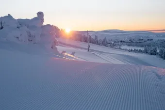 en snötäckt kulle med träd och en solnedgång