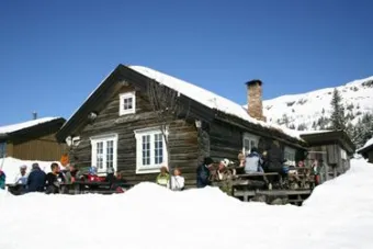 Skeistua