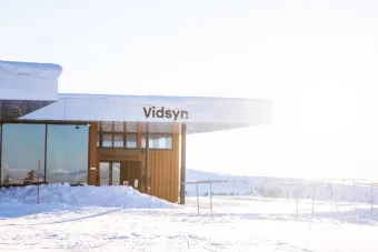 Vidsyn
