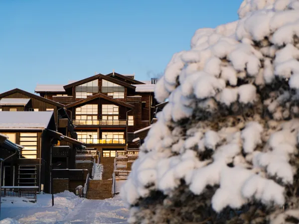 Norefjell Ski & Spa