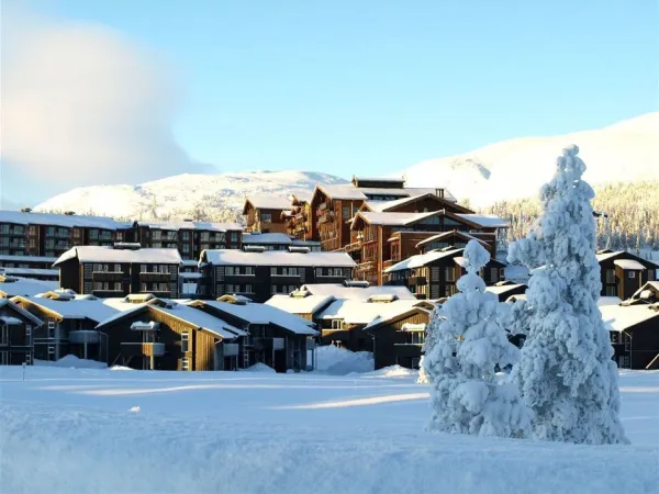 Skipasspaket till Norefjell Ski & Spa under weekend (to-sö)