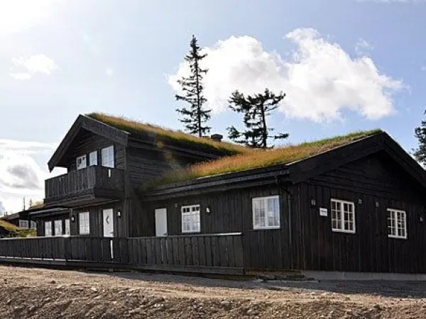 Ugla Hyttegrend 991