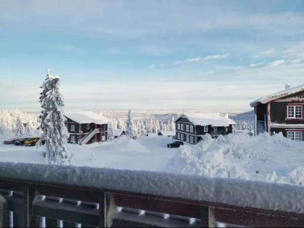 Snøhvit 2D