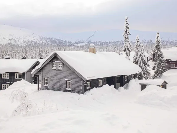 Trysil Panorama Hytter 737