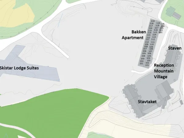 Bakken 203