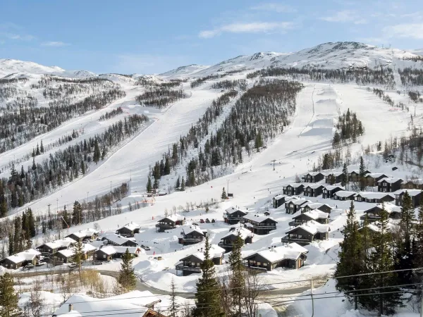 Veslestølen C