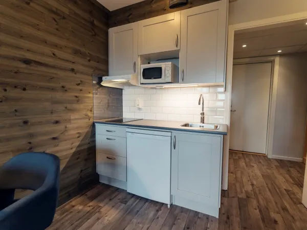 Ski Apartments med fjällutsikt