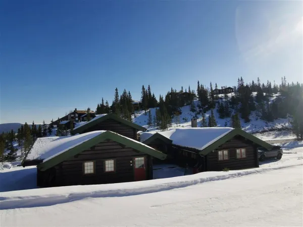 Sönnavind