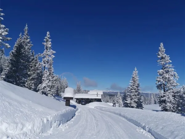 Sönnavind