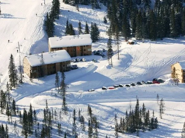 Basecamp 121