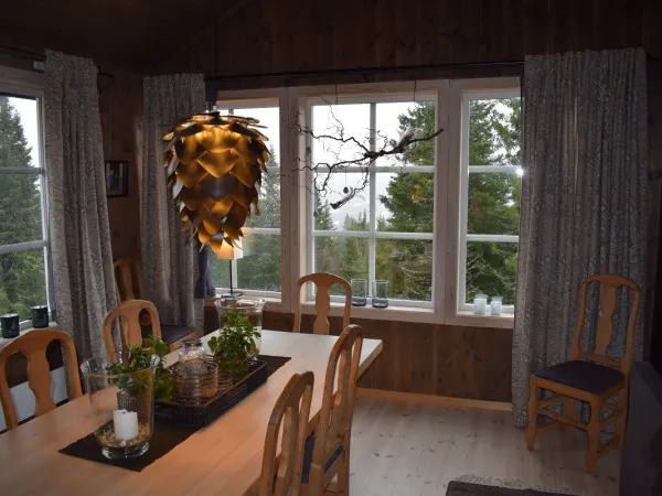 Mjølkevegen 20