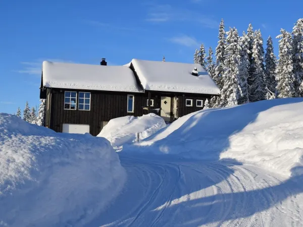 Mjølkevegen 20