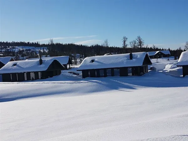 Mosetervegen 736