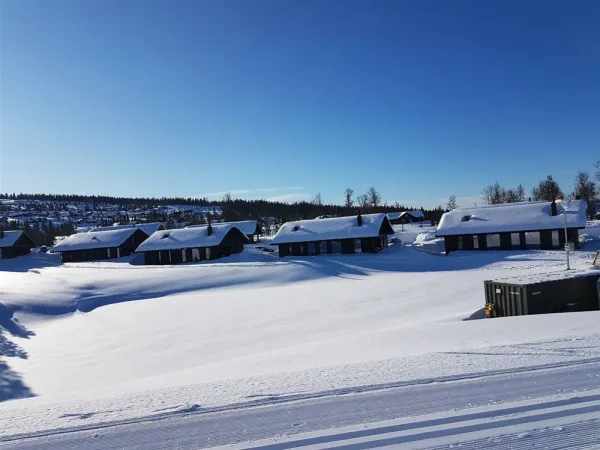 Mosetervegen 736