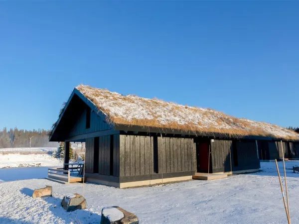 Mosetervegen 736