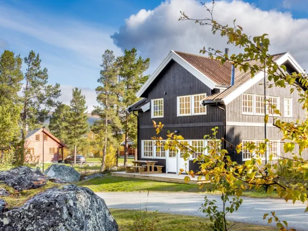 Geilolia Hytter og Leiligheter 