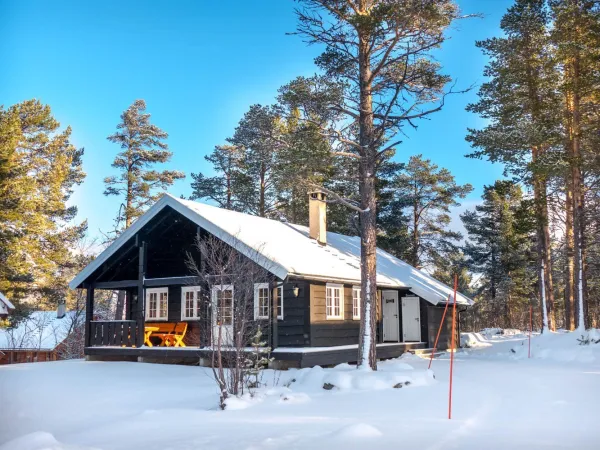 Standard hytte med 4 soverom/10 senger - Geilolia Hyttetun