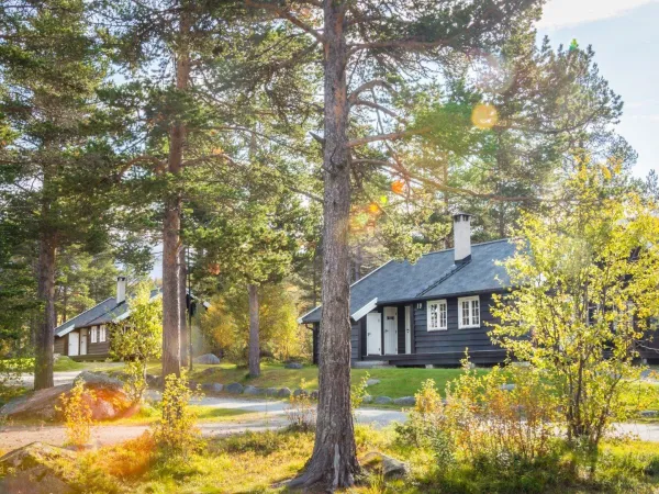 Standard hytte med 4 soverom/10 senger - Geilolia Hyttetun