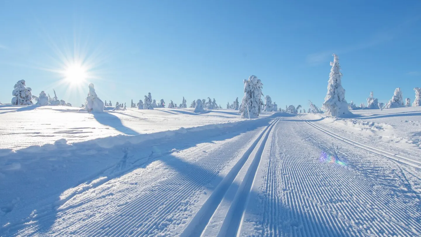 Trysil