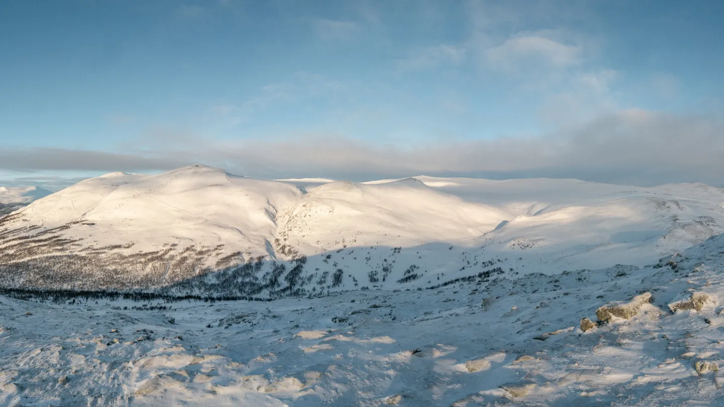 Oppdal