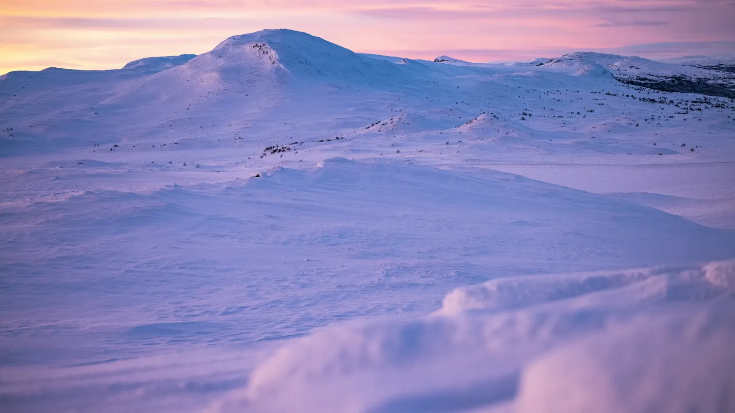 Tänndalen