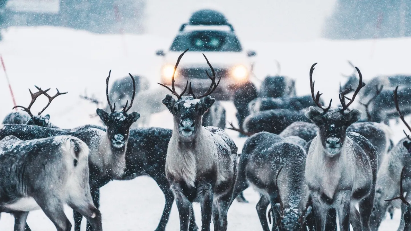 Idre Fjäll