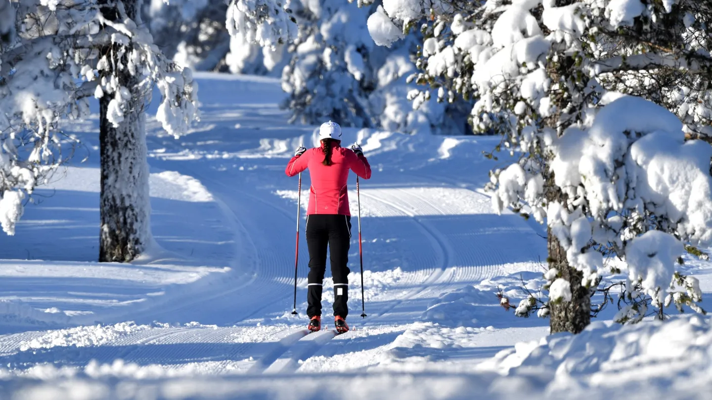 Idre Fjäll