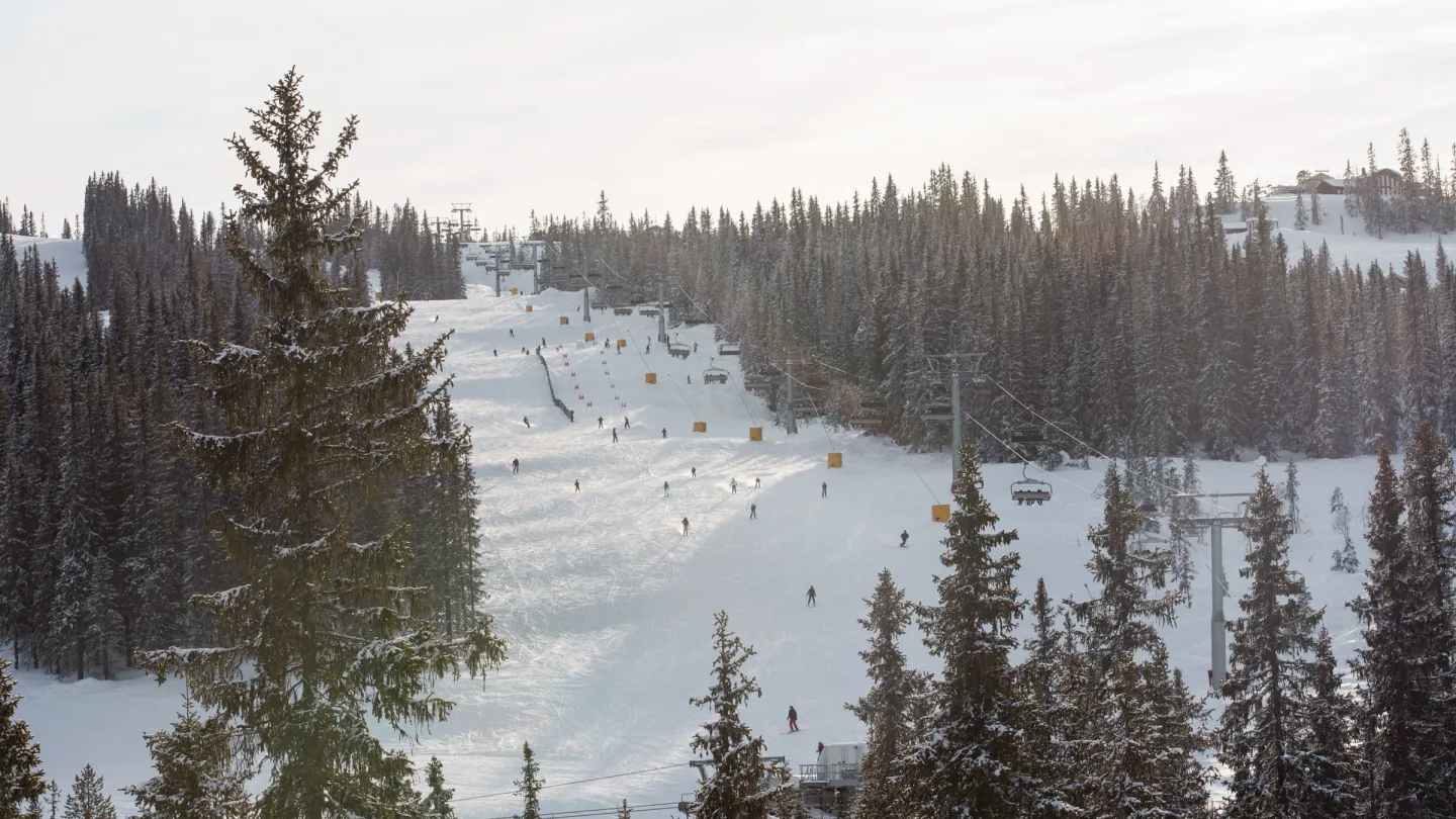 Kvitfjell Varden