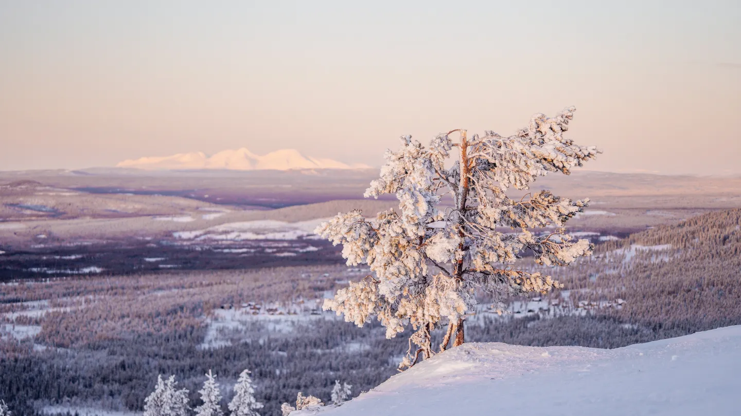 Idre Fjäll
