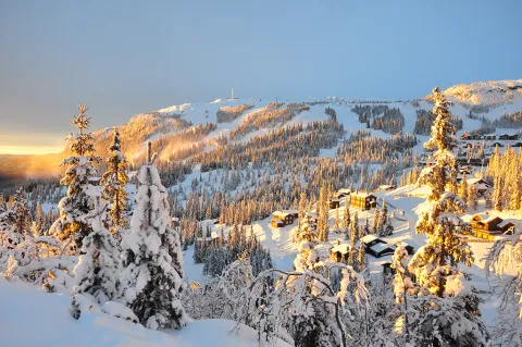 Kvitfjell