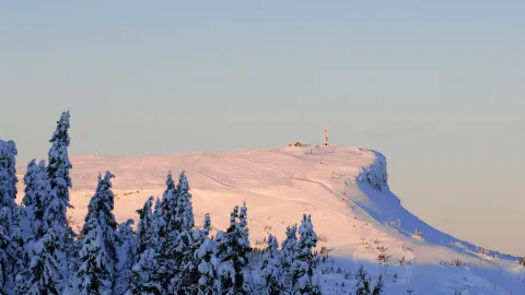 Skeikampen