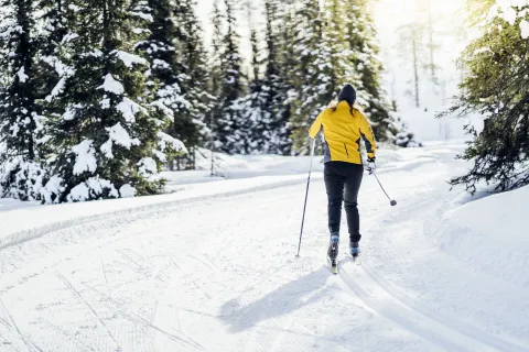 Idre Fjäll