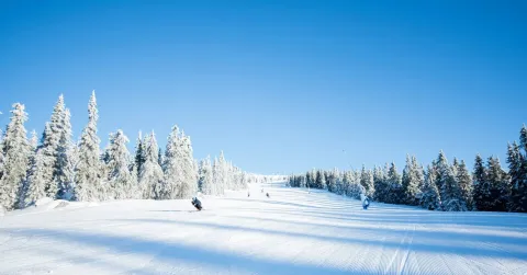 Kvitfjell