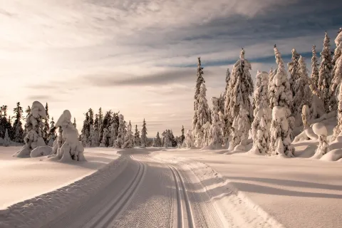 Längdåkning Skeikampen