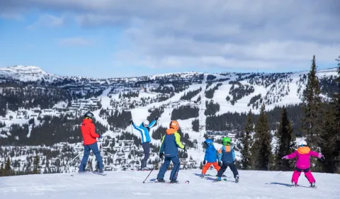 Kvitfjell