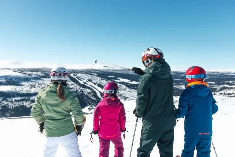 Kvitfjell