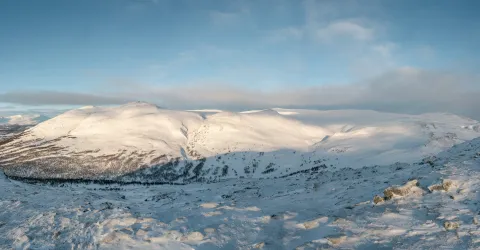Oppdal