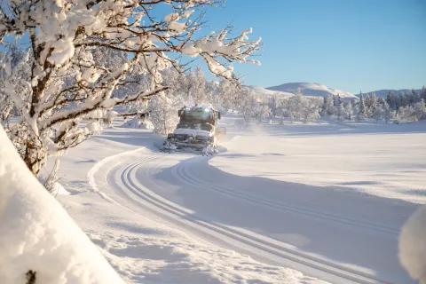Nesfjellet