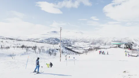 En bild på en skidåkare i Geilo