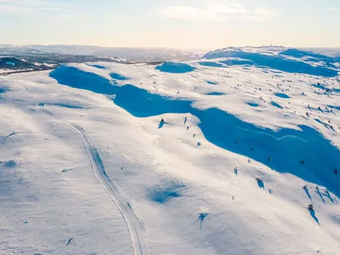 Skeikampen