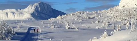 Beitostölen