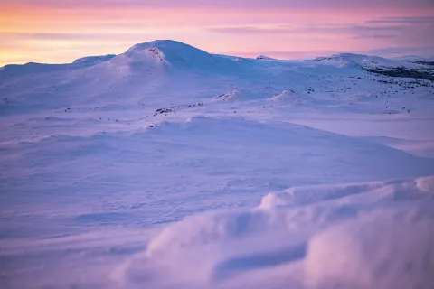 Tänndalen