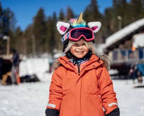 Idre Fjäll