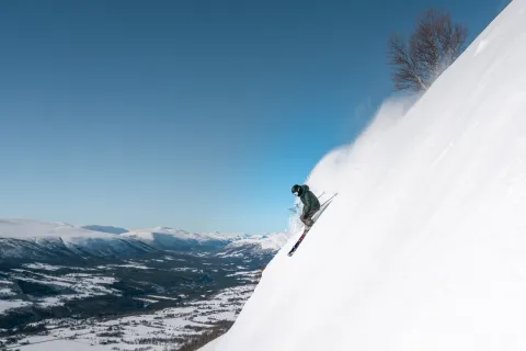 Oppdal